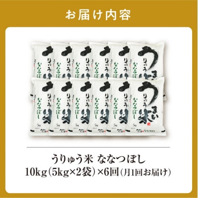 【定期便全6回】うりゅう米 ななつぼし 精米 10kg(5kg×2袋)毎月1回お届け