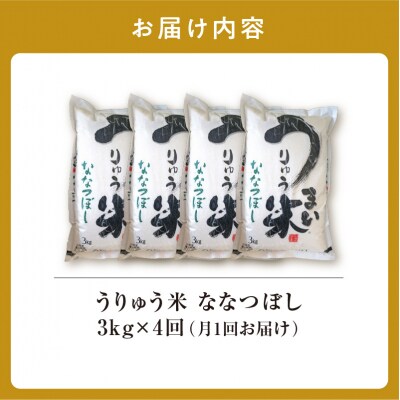 【定期便全4回】 うりゅう米 ななつぼし 3kg(3kg×1袋)毎月1回お届け 米 雨竜町