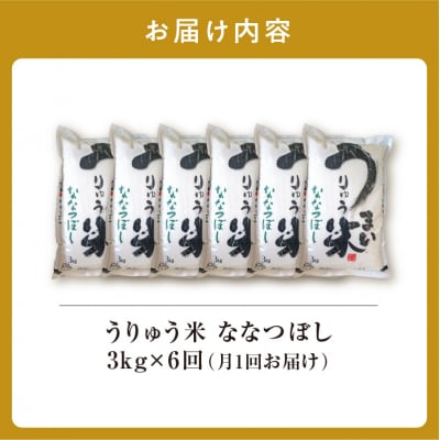 【定期便全6回】 うりゅう米 ななつぼし 3kg(3kg×1袋)毎月1回お届け 米 雨竜町