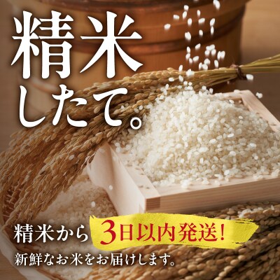 【定期便全12回】令和6年産 うりゅう米 ななつぼし 3kg(3kg×1袋)毎月1回お届け 雨竜町
