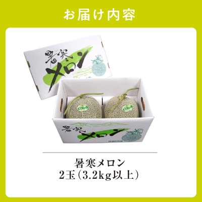 【令和8年産先行受付】北海道産 暑寒メロン 2玉(3.2kg以上) 2026年7月発送