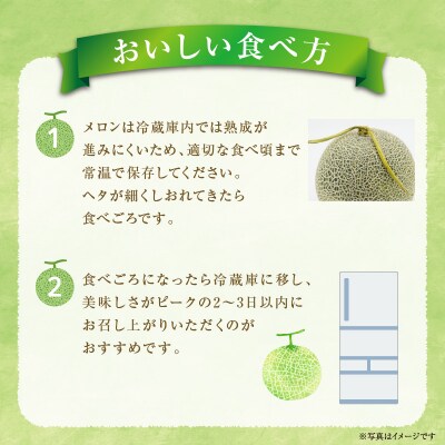 【令和8年産先行受付】北海道産 暑寒メロン 4～5玉 (8kg以上)  2026年7月発送
