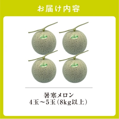 【令和8年産先行受付】北海道産 暑寒メロン 4～5玉 (8kg以上)  2026年7月発送
