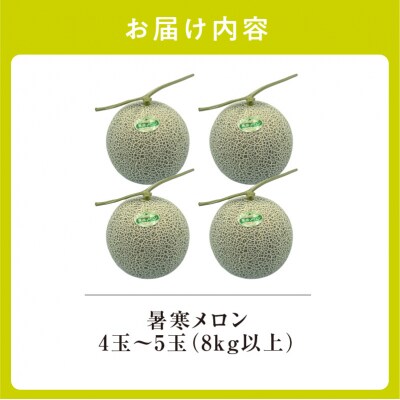 【令和8年産先行受付】北海道産 暑寒メロン 4～5玉 (8kg以上)  2026年7月発送