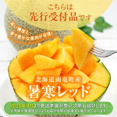 【令和8年産先行受付】北海道メロン 暑寒レッド 1玉 (1.6kg以上) 2026年9月発送