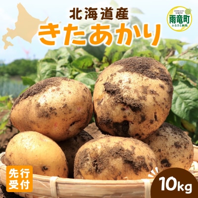 【令和8年産先行受付】北海道産 じゃがいも 「きたあかり」 S～LLサイズ10kg《9月より発送》