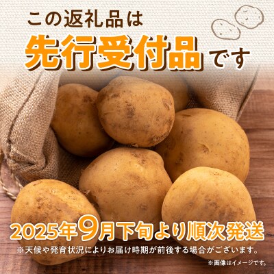 【令和7年産先行受付】北海道産 じゃがいも 「きたあかり」 S～LLサイズ10kg《9月より発送》