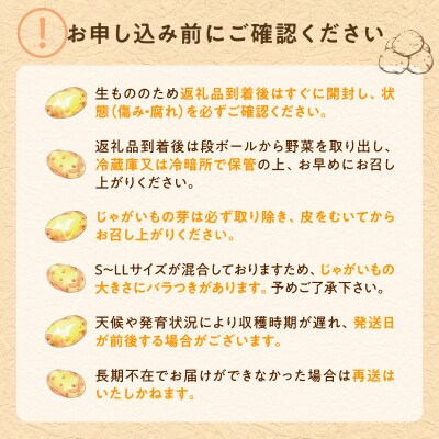【令和7年産先行受付】北海道産 じゃがいも 「きたあかり」 S～LLサイズ10kg《9月より発送》
