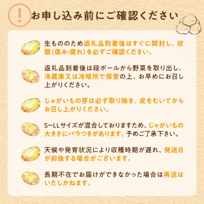 【令和8年産先行受付】北海道産 じゃがいも 「きたあかり」 S～LLサイズ10kg《9月より発送》
