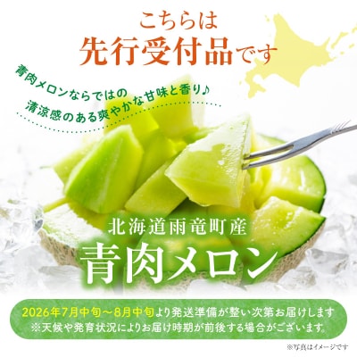 【令和8年産先行受付】北海道産暑寒メロン 8～10玉 (8kg以上×2箱)  2026年7月発送