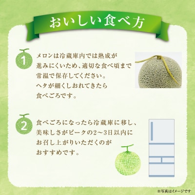 【令和8年産先行受付】北海道産暑寒メロン 8～10玉 (8kg以上×2箱)  2026年7月発送