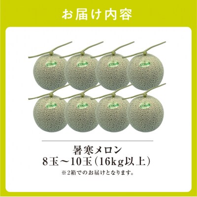 【令和8年産先行受付】北海道産暑寒メロン 8～10玉 (8kg以上×2箱)  2026年7月発送
