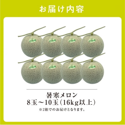 【令和8年産先行受付】北海道産暑寒メロン 8～10玉 (8kg以上×2箱)  2026年7月発送