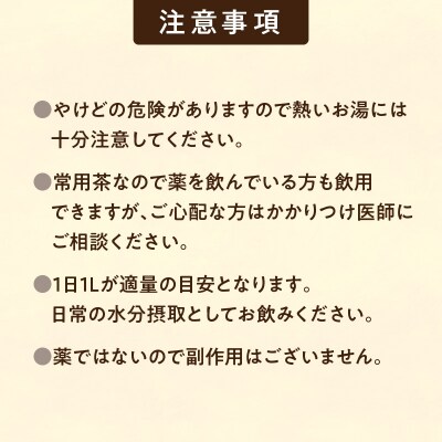 【数量限定】森のダイヤモンド「カバノアナタケ」150g