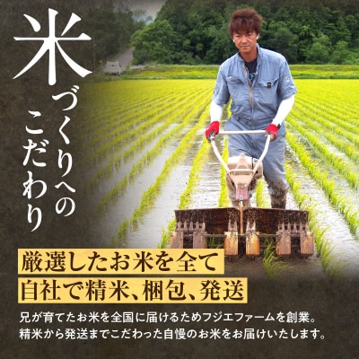 令和6年産 北海道産 ななつぼし 精米 5kg  特A 雨竜町 お米 米 厳選 人気