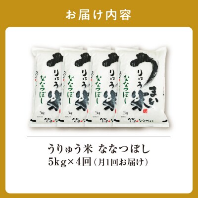 【定期便全4回】 うりゅう米 ななつぼし 5kg(5kg×1袋)毎月1回お届け 雨竜町
