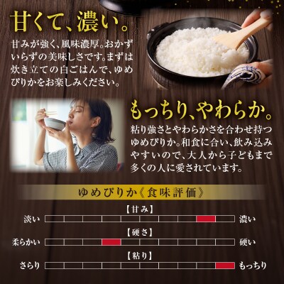【定期便全6回】令和6年産 うりゅう米 ゆめぴりか 5kg(5kg×1袋)毎月1回お届け 雨竜町