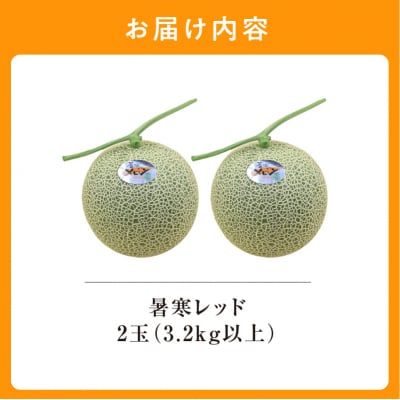 【令和8年産先行受付】北海道メロン 暑寒レッド 2玉 (3.2kg以上) 2026年9月発送