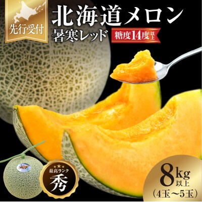 【令和8年産先行受付】北海道メロン 暑寒レッド 4～5玉 (8kg以上) 2026年9月発送