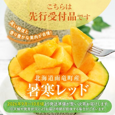 【令和8年産先行受付】北海道メロン 暑寒レッド 4～5玉 (8kg以上) 2026年9月発送