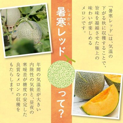 【令和8年産先行受付】北海道メロン 暑寒レッド 4～5玉 (8kg以上) 2026年9月発送