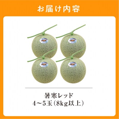 【令和8年産先行受付】北海道メロン 暑寒レッド 4～5玉 (8kg以上) 2026年9月発送