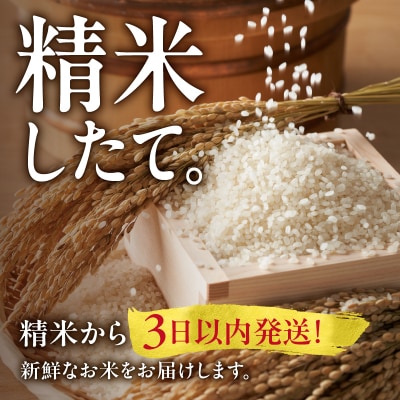 令和6年産 うりゅう米 ななつぼし 無洗米 5kg(5kg×1袋) お米 ごはん お弁当 雨竜町