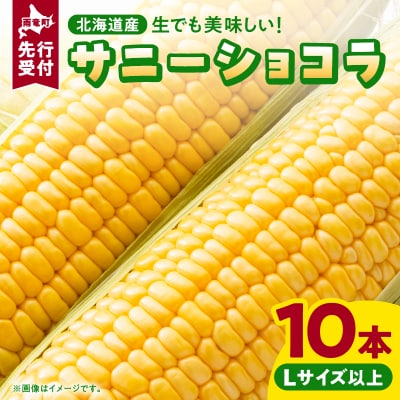 【令和7年産先行受付】生でも美味しい! とうもろこし 「 サニーショコラ 」 10本(Lサイズ)