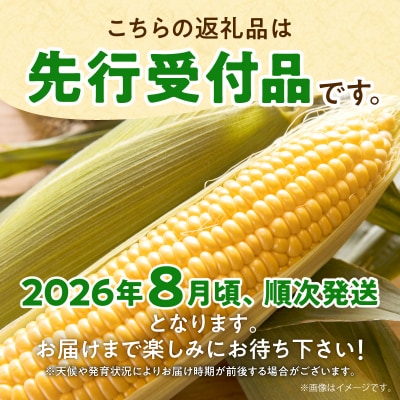 【令和8年産先行受付】生でも美味しい! とうもろこし 「 サニーショコラ 」 10本(Lサイズ)