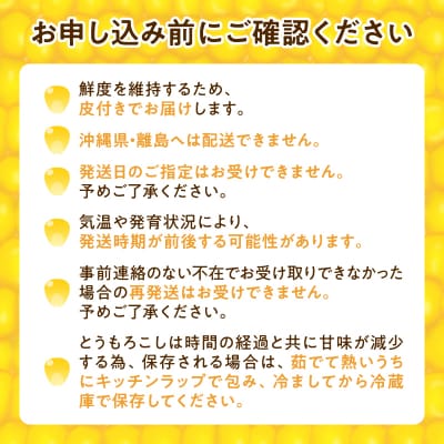 【令和8年産先行受付】生でも美味しい! とうもろこし 「 サニーショコラ 」 10本(Lサイズ)