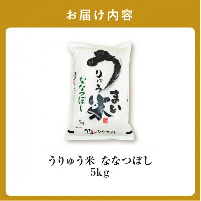 令和6年産 うりゅう米 ななつぼし 5kg (5kg×1袋) お米 米 ご飯 特A 北海道 雨竜町