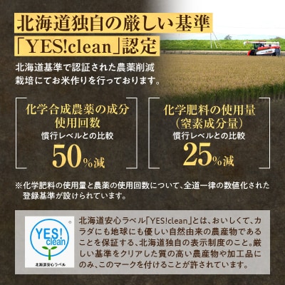 定期便 北海道産 ななつぼし 精米 定期便 5kg 12回 特A 雨竜町 お米 米 厳選 人気