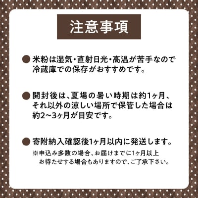 北海道 雨竜町産 うりゅう米 ななつぼし 米粉 1.5kg(300g×5袋)