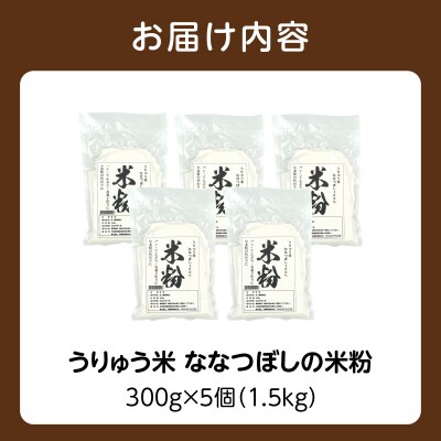 北海道 雨竜町産 うりゅう米 ななつぼし 米粉 1.5kg(300g×5袋)
