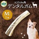 【数量限定】エゾシカの角デンタルガムMサイズ(中型犬向け)_U004-0003