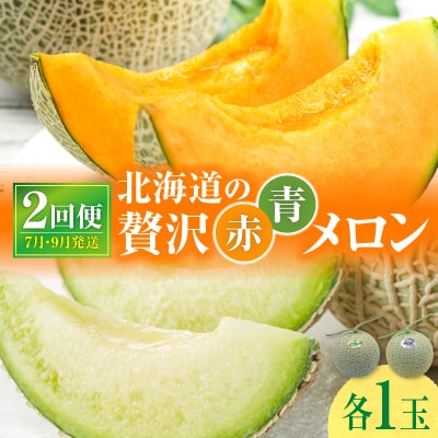 【令和8年産先行受付】【 7月青肉・9月赤肉発送】北海道の贅沢　暑寒メロン食べ比べ2回便 【各1玉】