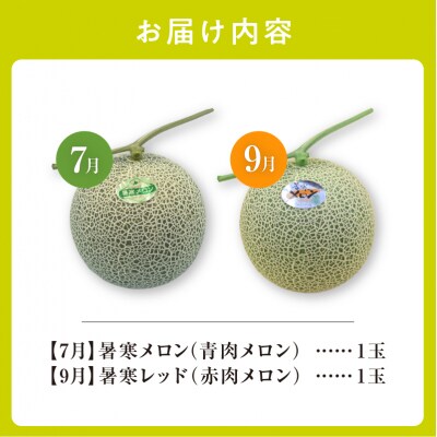 【令和8年産先行受付】【 7月青肉・9月赤肉発送】北海道の贅沢　暑寒メロン食べ比べ2回便 【各1玉】