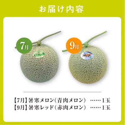 【令和8年産先行受付】【 7月青肉・9月赤肉発送】北海道の贅沢　暑寒メロン食べ比べ2回便 【各1玉】