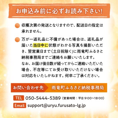 【令和8年産先行受付】【 7月青肉・9月赤肉発送】北海道の贅沢　暑寒メロン食べ比べ2回便 【各1玉】