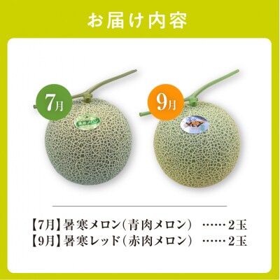 【令和8年産先行受付】【 7月青肉・9月赤肉発送】北海道の贅沢　暑寒メロン食べ比べ2回便 【各2玉】