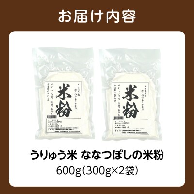 北海道 雨竜町産 うりゅう米 ななつぼし 米粉 600g(300g×2個)