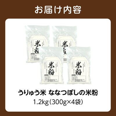 北海道 雨竜町産 うりゅう米 ななつぼし 米粉 1.2kg(300g×4個)