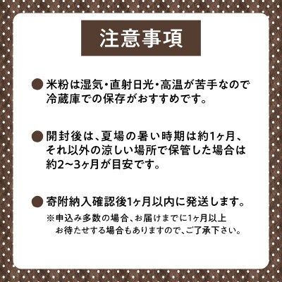 北海道 雨竜町産 うりゅう米 ななつぼし 米粉 900g(300g×3個)
