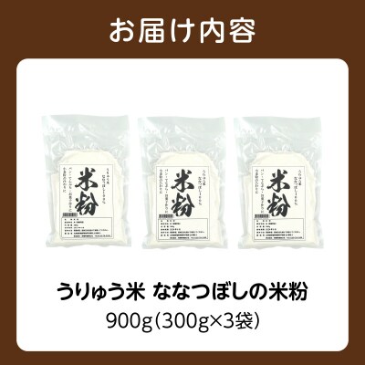 北海道 雨竜町産 うりゅう米 ななつぼし 米粉 900g(300g×3個)