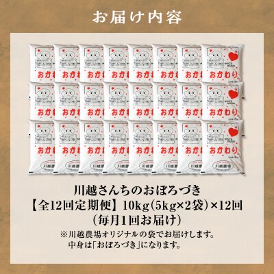 【定期便全12回】令和6年産 川越さんちの おぼろづき 10kg(5kg×2袋)毎月1回お届け