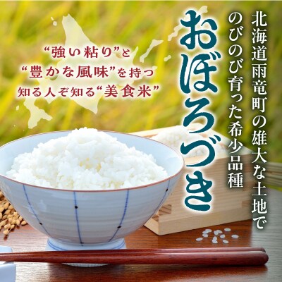 【定期便全6回】令和6年産 川越さんちの おぼろづき　5kg(5kg×1袋)毎月1回お届け