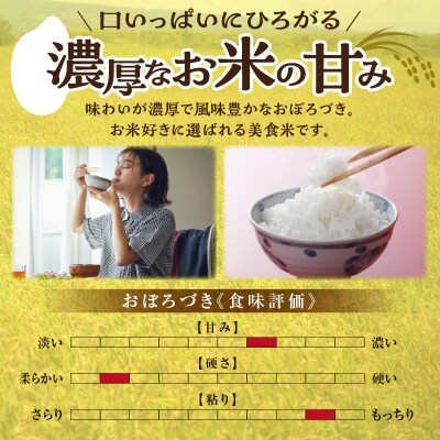 【定期便全4回】令和7年産 川越さんちの おぼろづき 5kg(5kg×1袋)毎月1回お届け