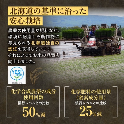 定期便 北海道産 ななつぼし 精米 定期便 5kg 10回 特A 雨竜町 お米 米 厳選 人気