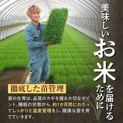 【隔月!定期便全4回】  北海道産 ななつぼし 精米 10kg 4回 特A 雨竜町 お米 米 厳選 