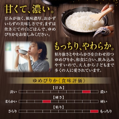 【定期便全4回】令和6年産 うりゅう米 ゆめぴりか 5kg(5kg×1袋)毎月1回お届け 米 雨竜町